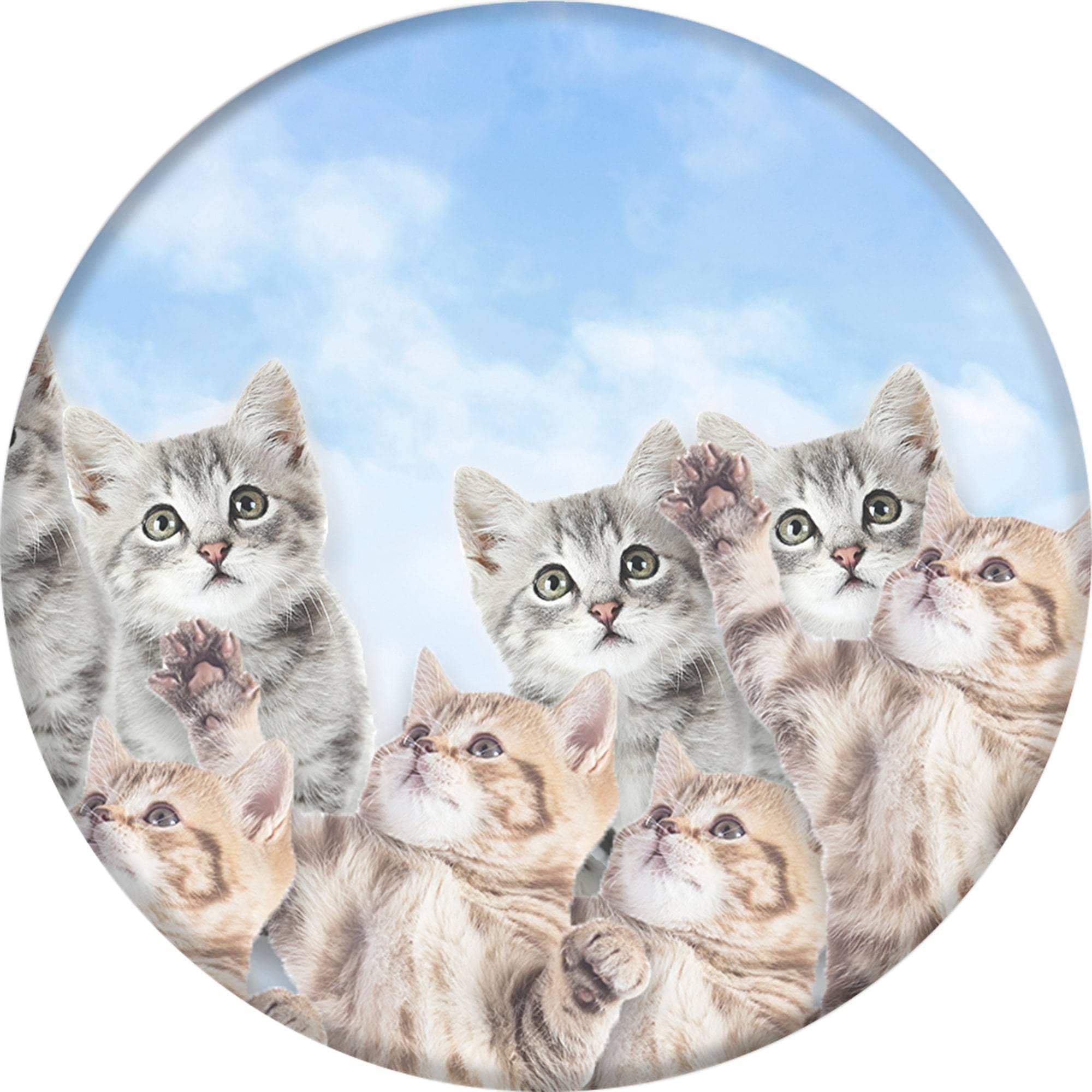 Popsockets cat clearance