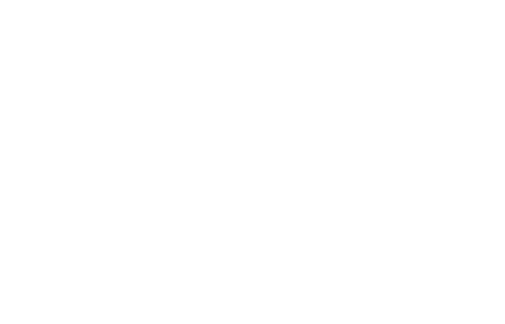 punkypins